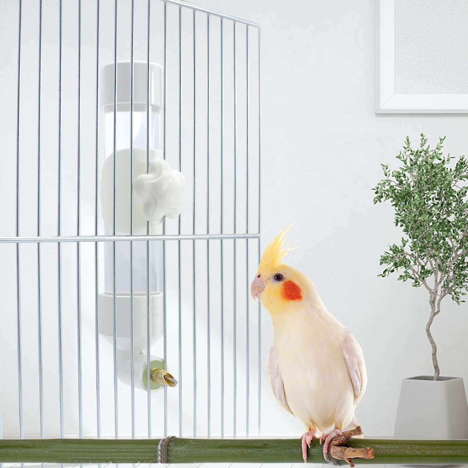 Automatic Bird Water Dispenser for Parrots, Parakeets, Cockatiels, Conures & Caiques - Small/Medium Size Pet Bird Water Feeder - Perfect for Cages, Aviaries & Travel Use