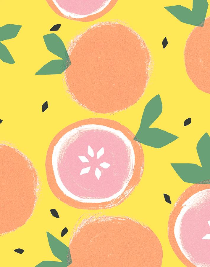 Grapefruit Floral Wallpaper - Peel and Stick Removable Wallpaper for Kitchen, Bathroom, Bedroom Decor - Tea Collection Daffodil Pattern