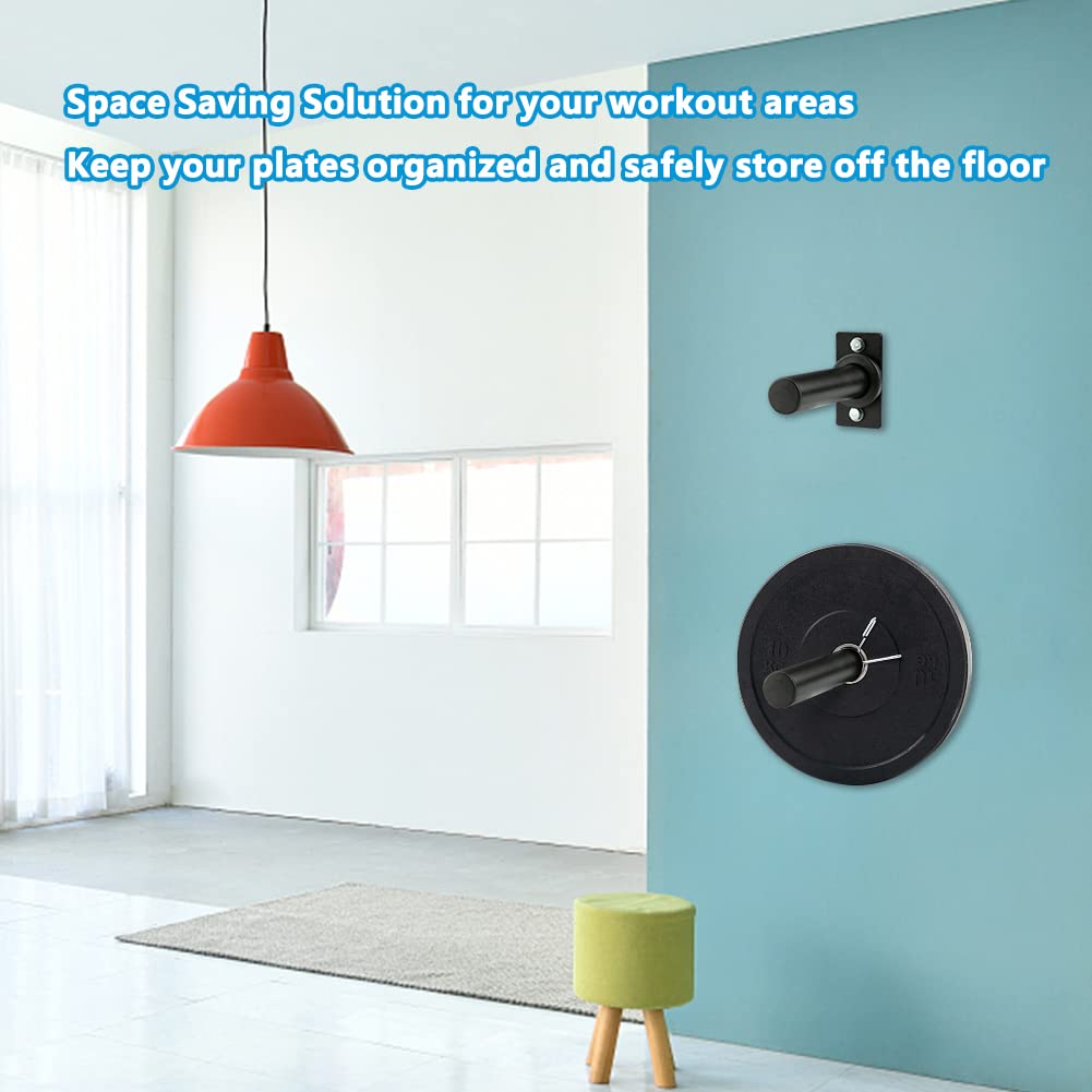 Wall Mounted Olympic Weight Plate Holder - 2