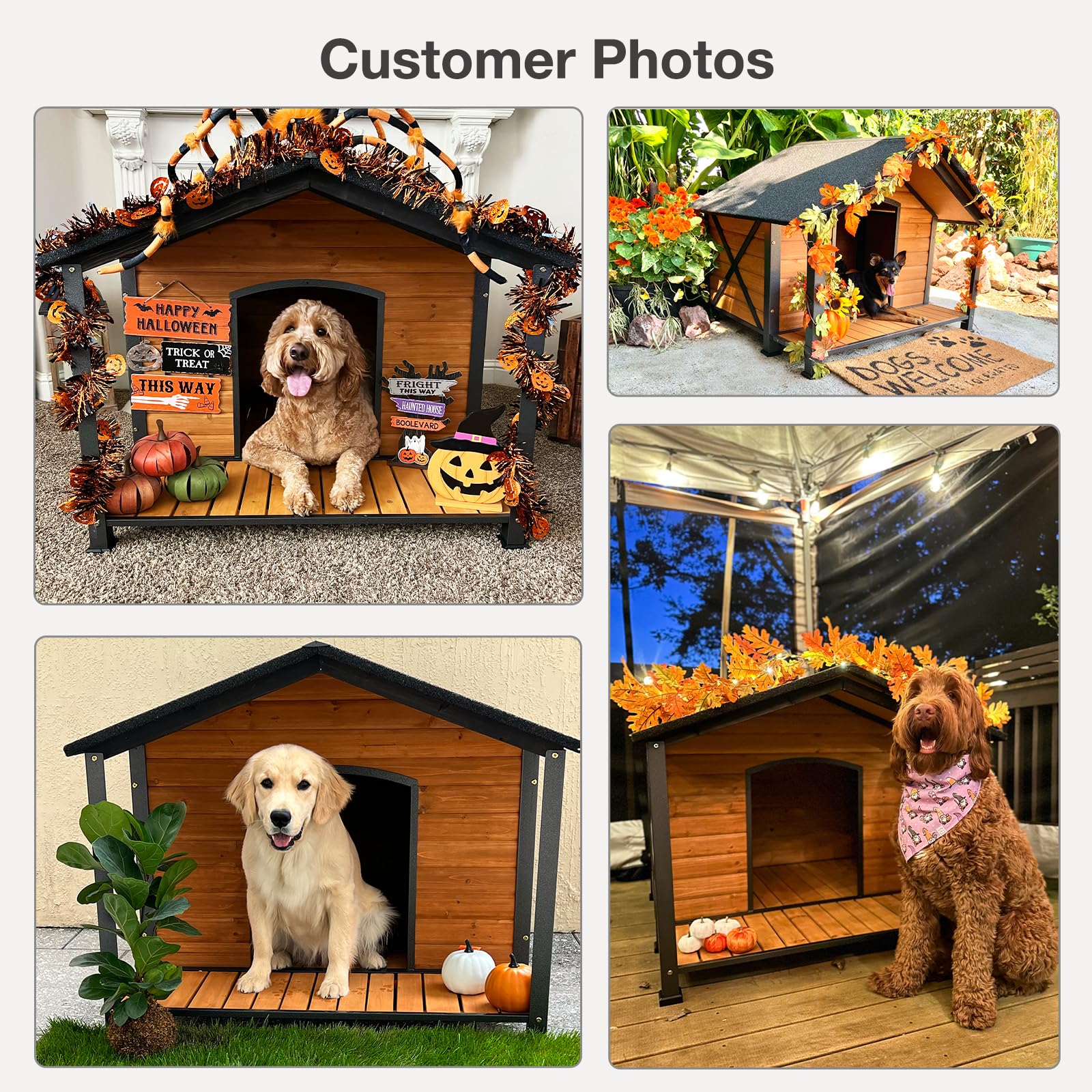 Outdoor Weatherproof Dog House with Insulated Design - Heavy Duty Iron Frame & Fir Wood Construction - Large Size for All Dog Breeds - Perfect for Backyard, Patio, and Garden Use