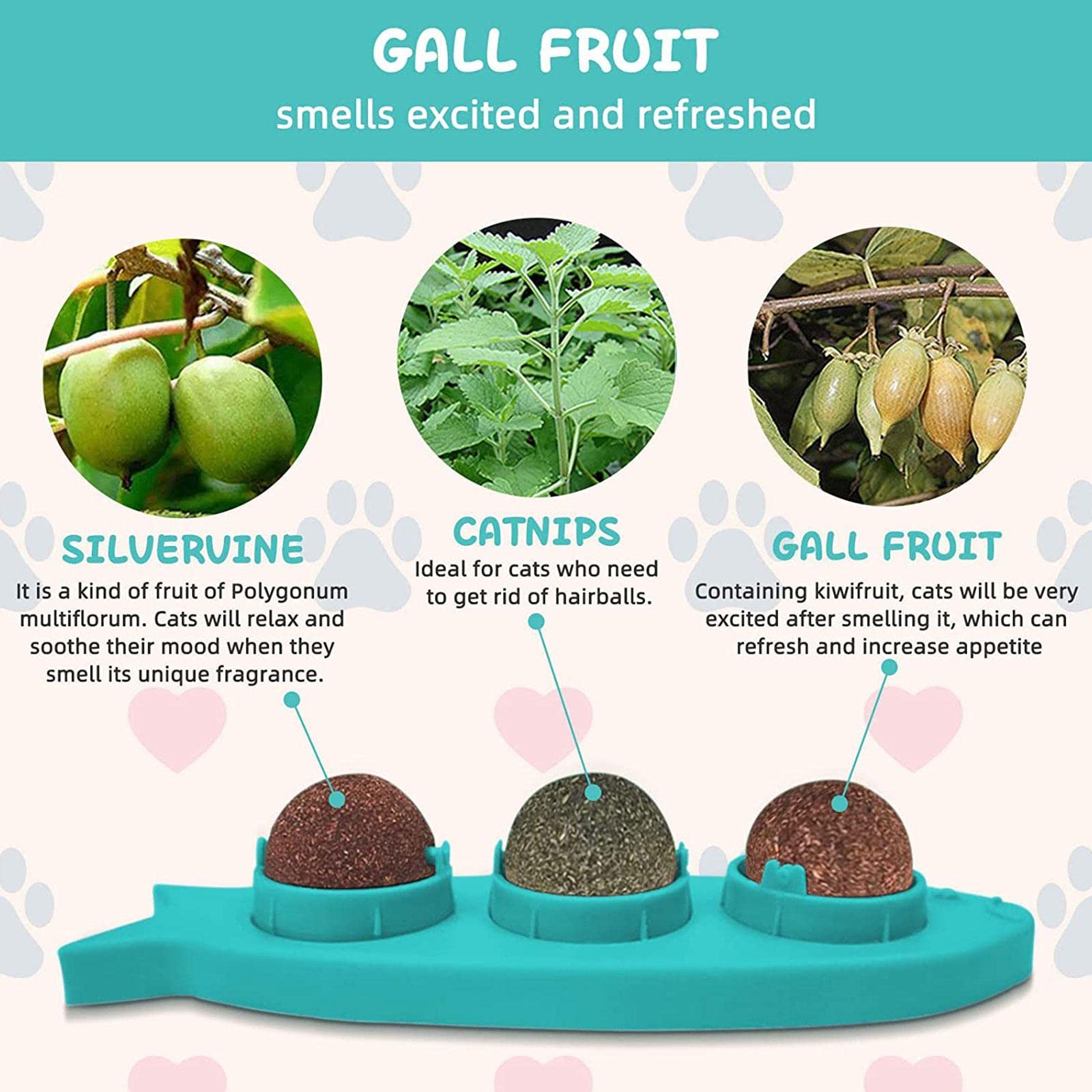 Organic Catnip Wall Balls - Mint Flavored Rotatable Cat Treat Toys for Teeth Cleaning | Edible Cat Licking Balls & Chew Toys | Perfect for Indoor Play, Dental Care & Stress Relief for Kittens & Adult Cats
