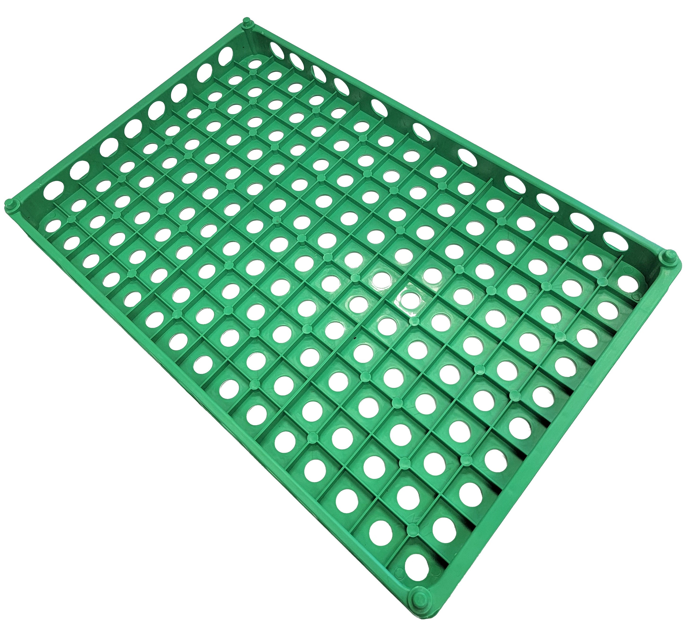 2 Pack Stackable 150 Quail Egg Capacity Plastic Trays - Perfect for Poultry Farms, Egg Storage & Farmers Market Display
