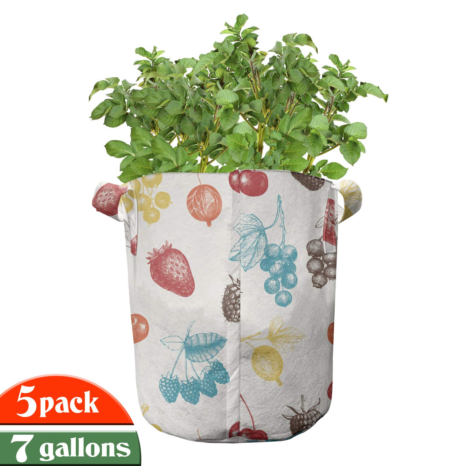 Ambesonne 5-Pack Heavy Duty Fabric Grow Bags with Handles - Colorful Fruit Pattern Plant Pots for Indoor/Outdoor Gardening, Vegetables, Herbs & Flowers