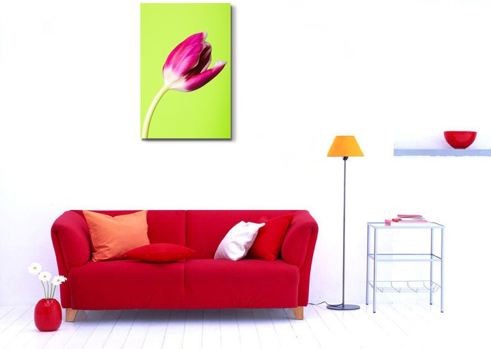 Pink Tulip Flower Canvas Print - Modern Wall Art Decor for Living Room, Bedroom & Office - Stretched Gallery Wrap Giclee Print - Ready to Hang - 36x24 Inches - Green Background Floral Home Decor