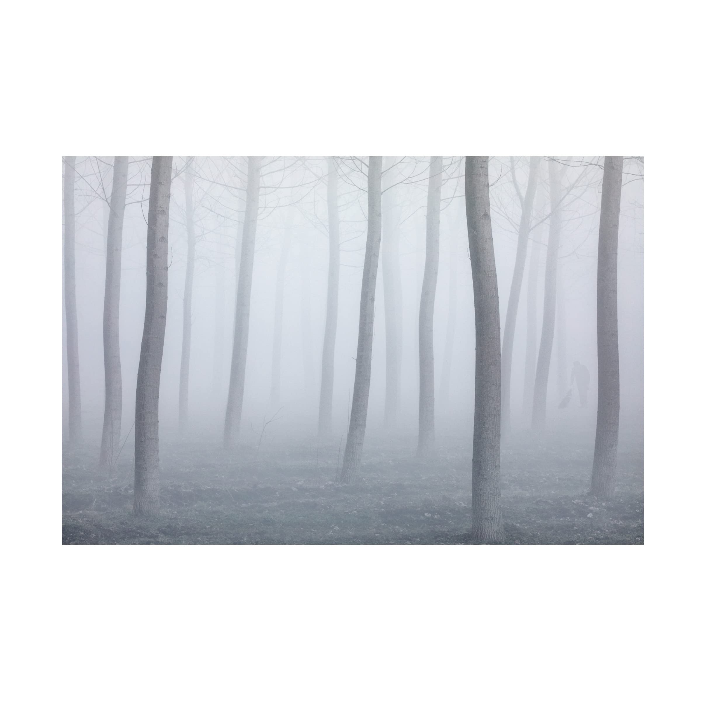 Fiorenzo Carozzi 'Into The Fog' Canvas Wall Art Print - Modern Landscape Painting for Living Room, Bedroom & Office Decor