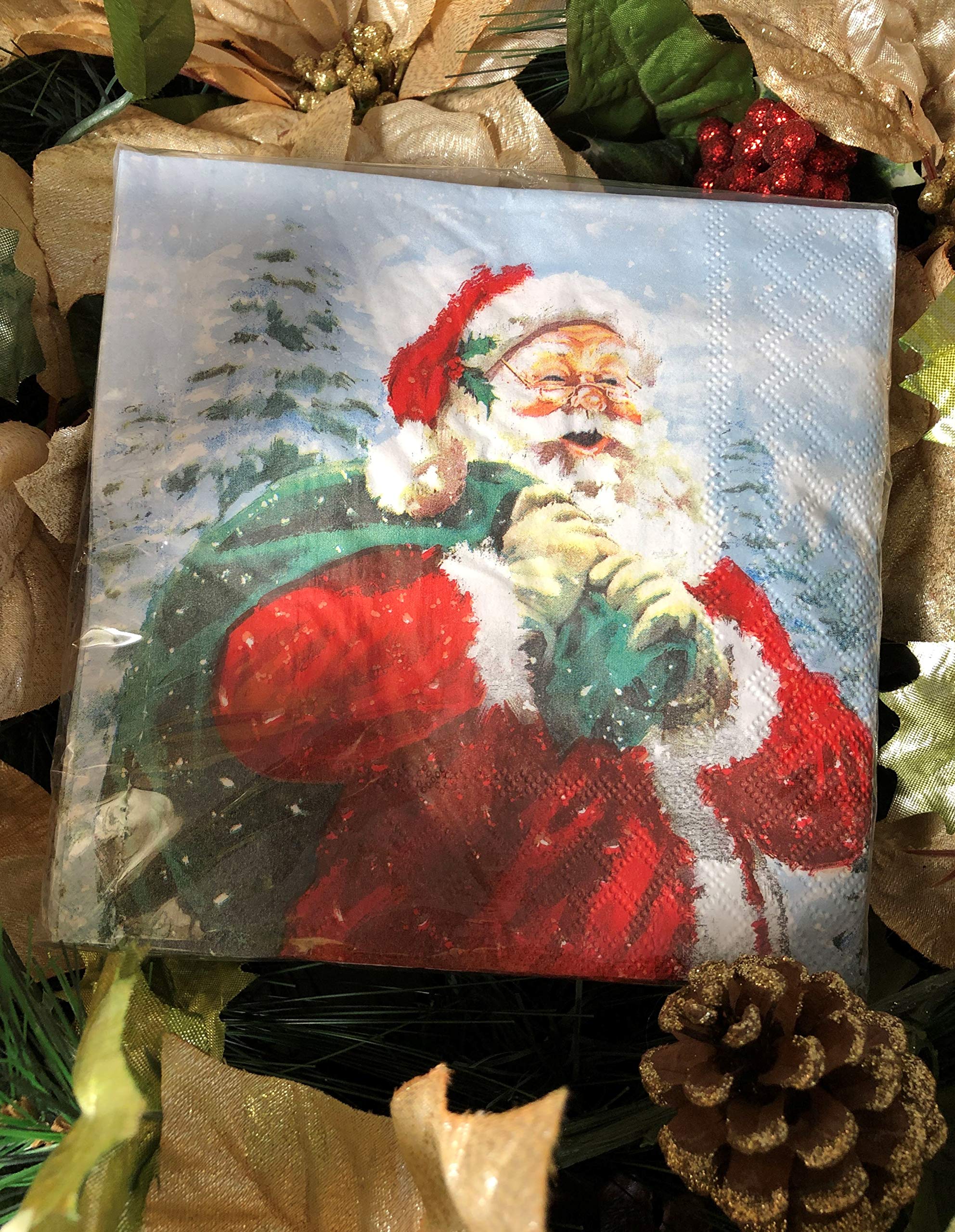 24-Ply Santa Angel Napkins - 13