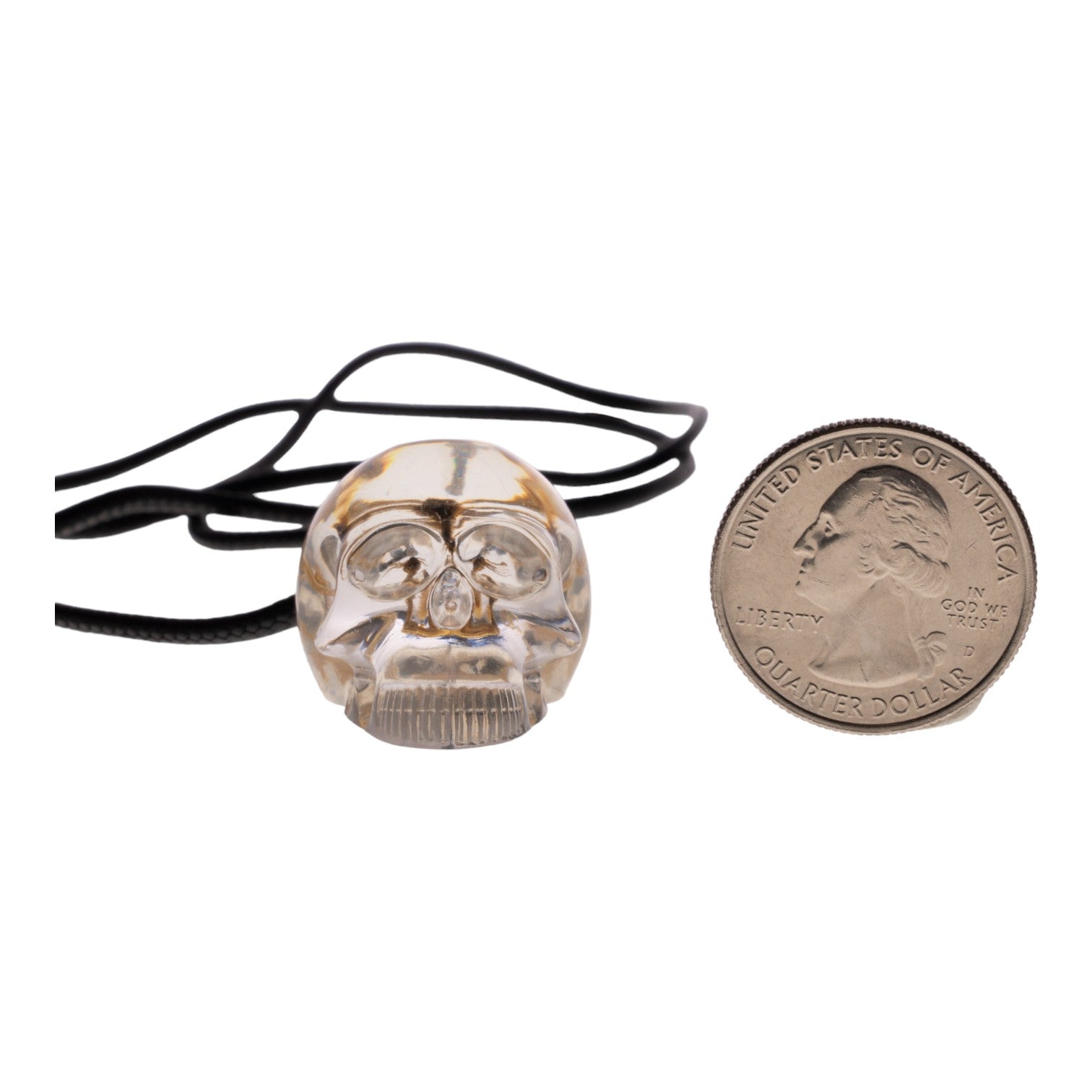 Real Golden Scorpion in Acrylic Skull Necklace - Unique Gothic Jewelry for Men & Women - Perfect for Halloween, Cosplay, and Alternative Fashion