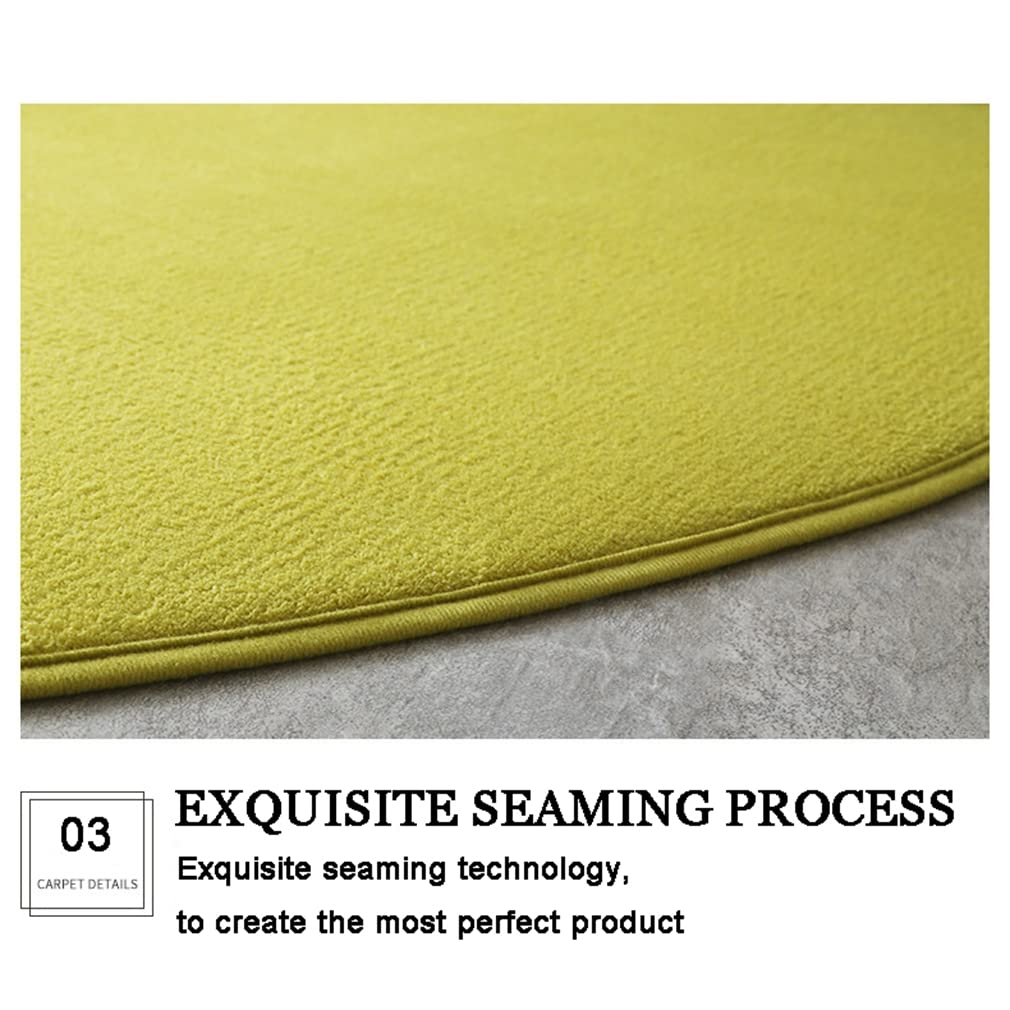 Ultra Soft Round Area Rugs 3.9' x 3.9' - Non-Slip Coral Fleece Carpet for Living Room, Bedroom & Bathroom - Modern Home Decor Indoor Outdoor Rug in Purple - Perfect for Cozy Spaces, Yoga Mats and Pet Areas