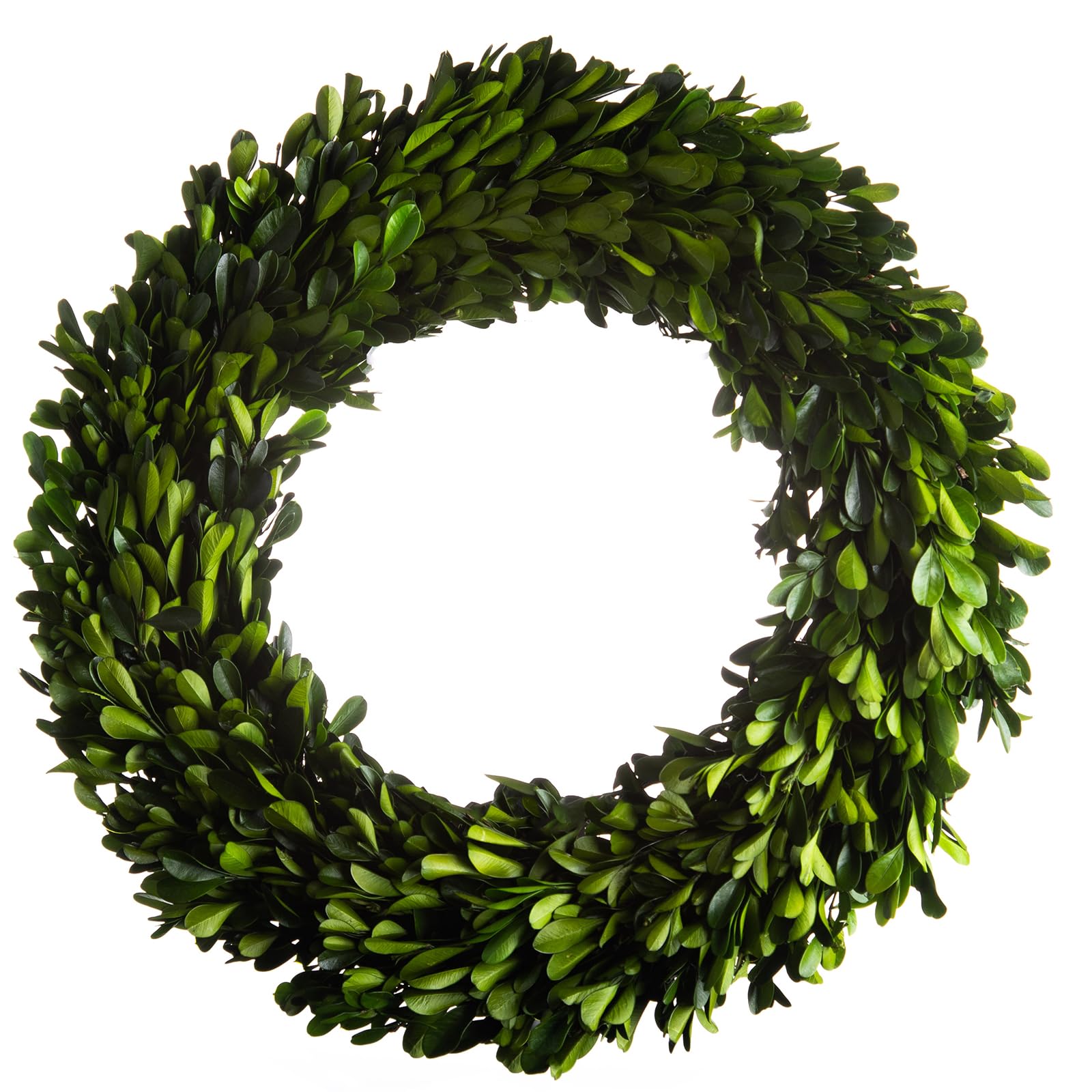 20 Inch Green Artificial Plant - Perfect for Home Decor, Office Spaces, and Indoor Greenery Enhancement