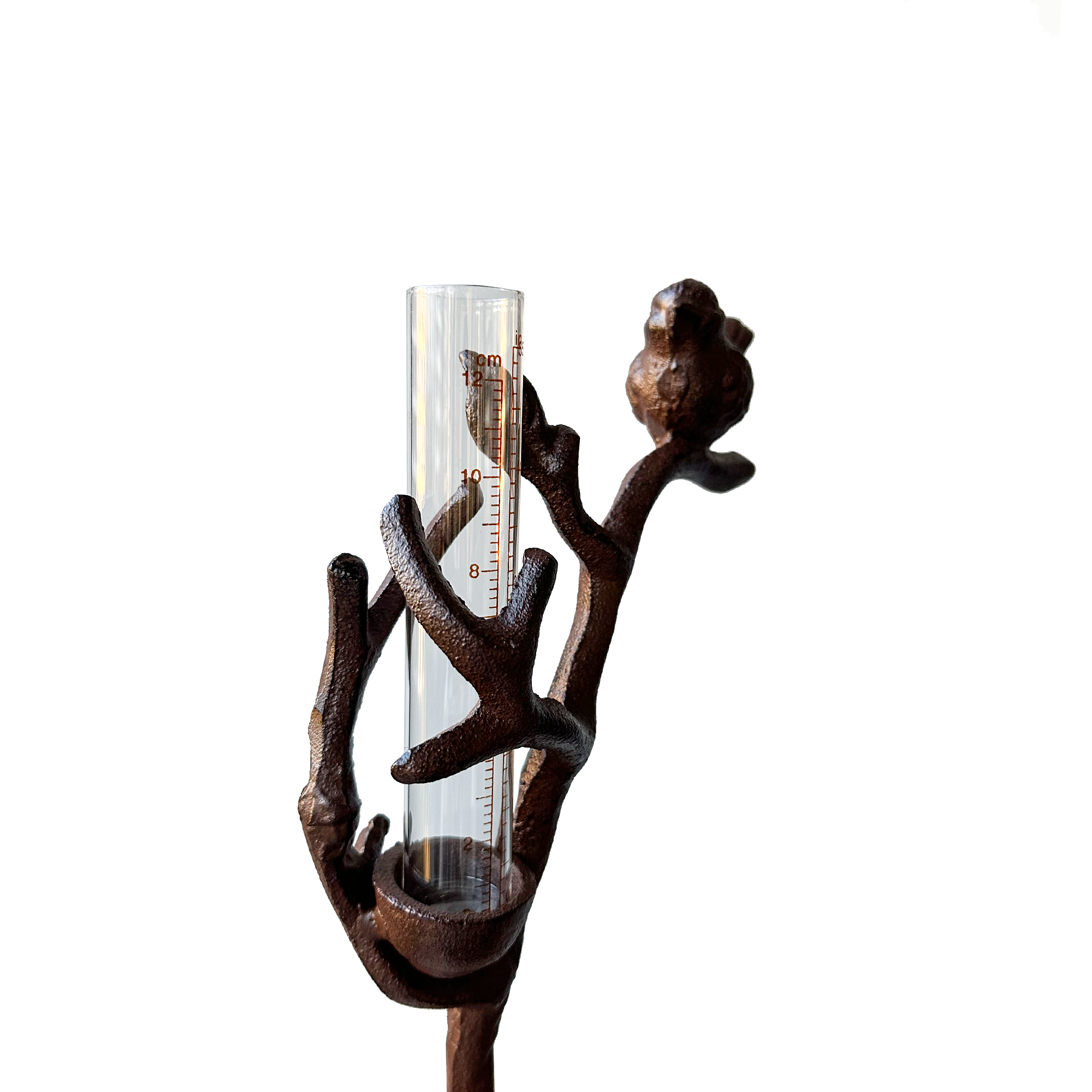 Cast Iron Rain Gauge Stake with Decorative Bird - Outdoor Garden Weather Measurement Tool for Lawn, Yard & Flower Beds