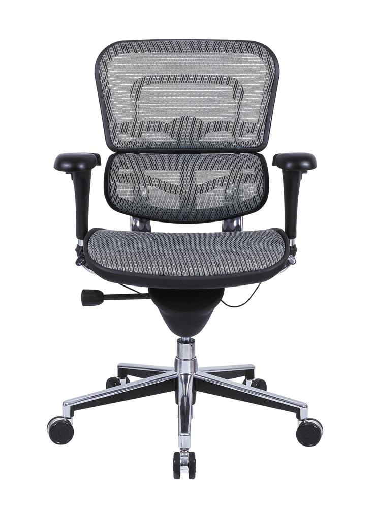 Eurotech Ergo Mid Back Mesh ME8ERGLO - Ergonomic Office Chair with Lumbar Support for Home & Work Comfort - Perfect for Long Hours Sitting, Gaming, and Remote Work