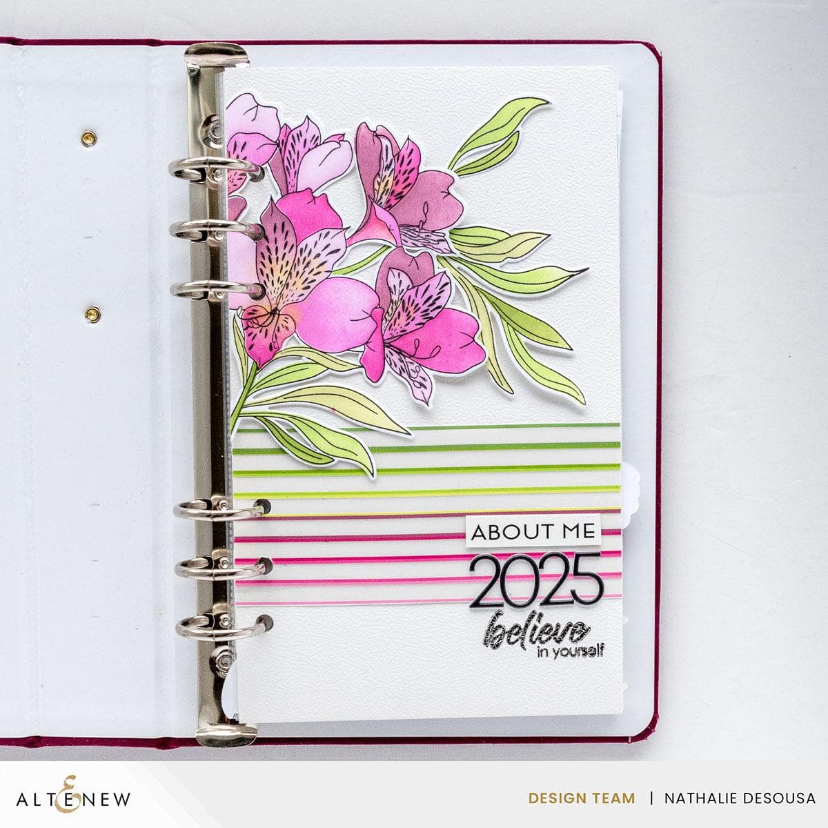 February 2025 Full Release Bundle - Complete Collection for Digital Products | Perfect for Online Businesses, Content Creators & E-commerce Stores