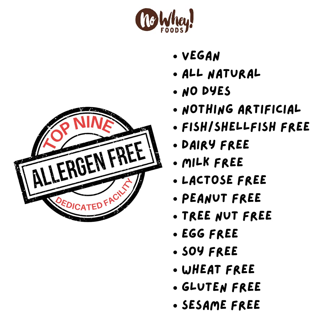 Vegan Gluten-Free Chocolate Chip Snack Packs (3-Pack) - Allergy Friendly for Travel & School