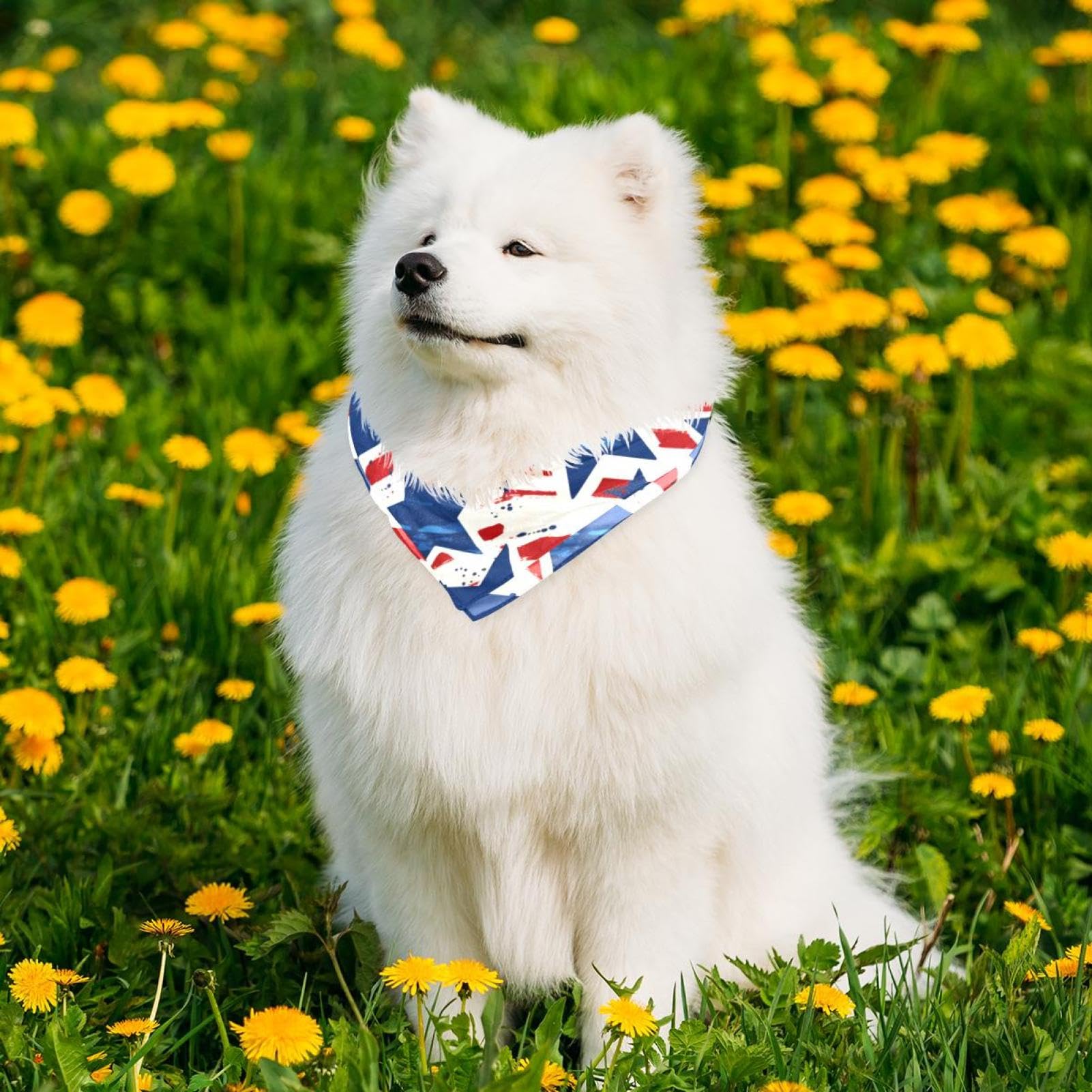 American Flag Dog Bandanas - 2-Piece Patriotic Pet Bandana Set for 4th of July, Dog Scarf & Accessories - Perfect for Independence Day Celebrations & Outdoor Adventures