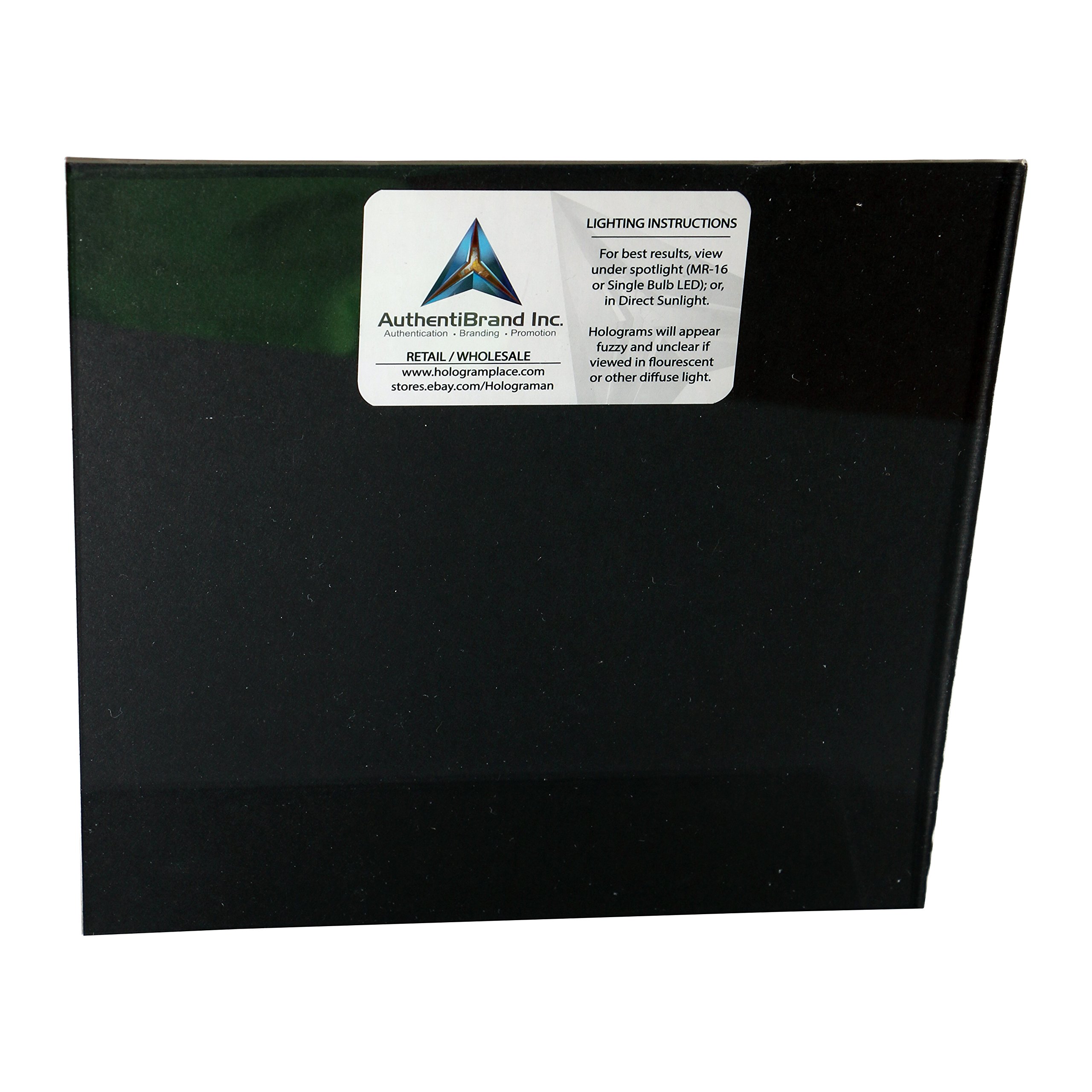 3D Holographic Mouse Multi-Channel Collectible Photopolymer Film - Perfect for Home Decor, Office Display & Gift Giving
