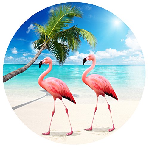 Flamingos