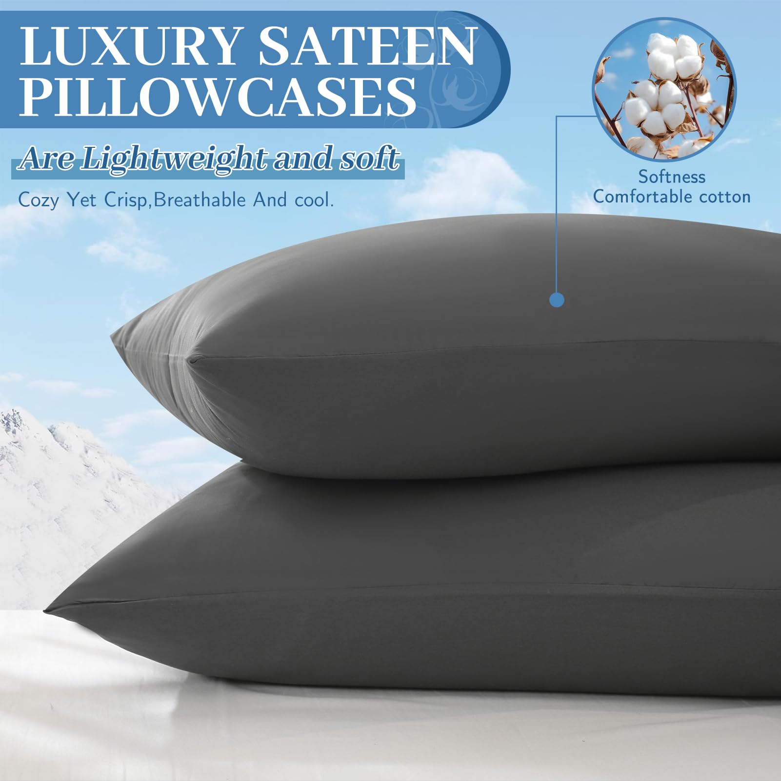 Premium 100% Egyptian Cotton King Pillowcase Set of 2 (20