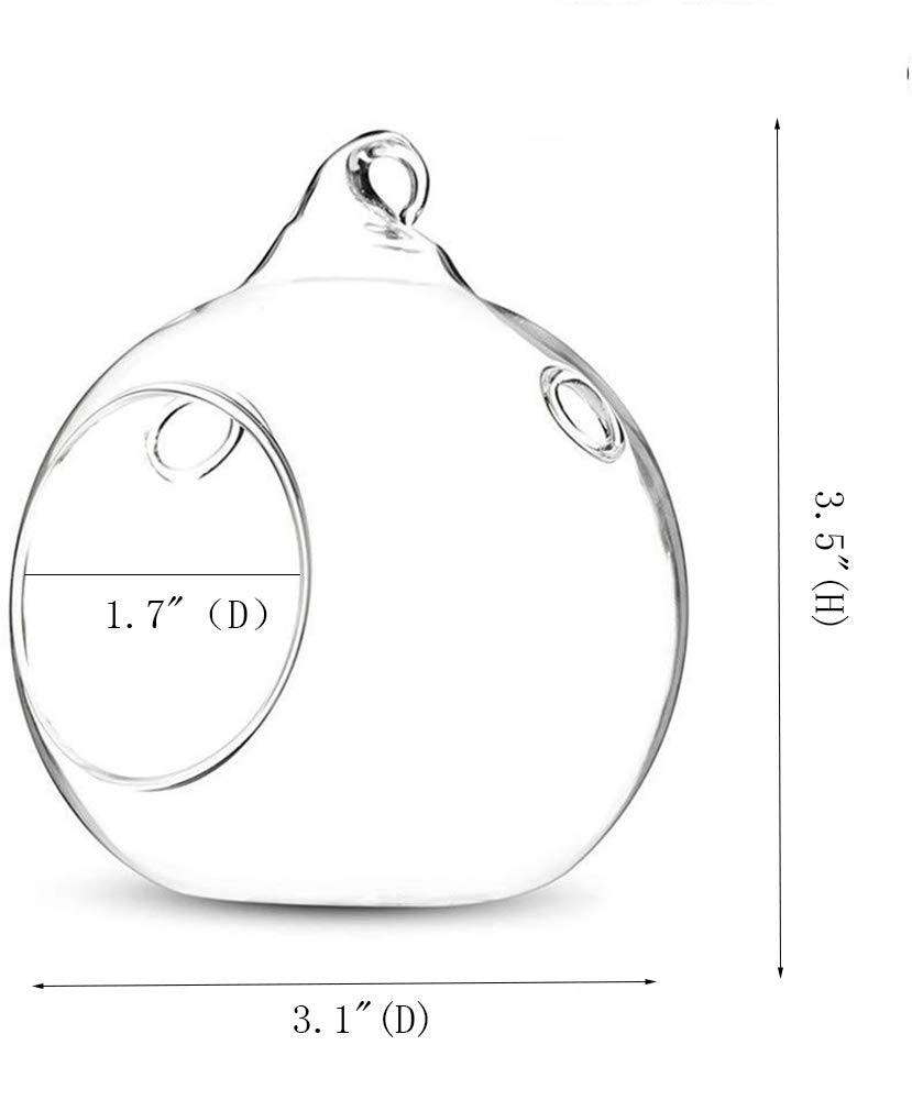 80MM Glass Globe Hanging Candle Holders for Wedding Centerpieces, Party Decorations - Set of 75 with 2 Side Holes - Perfect for Indoor/Outdoor Events, Garden Lighting & Romantic Ambiance