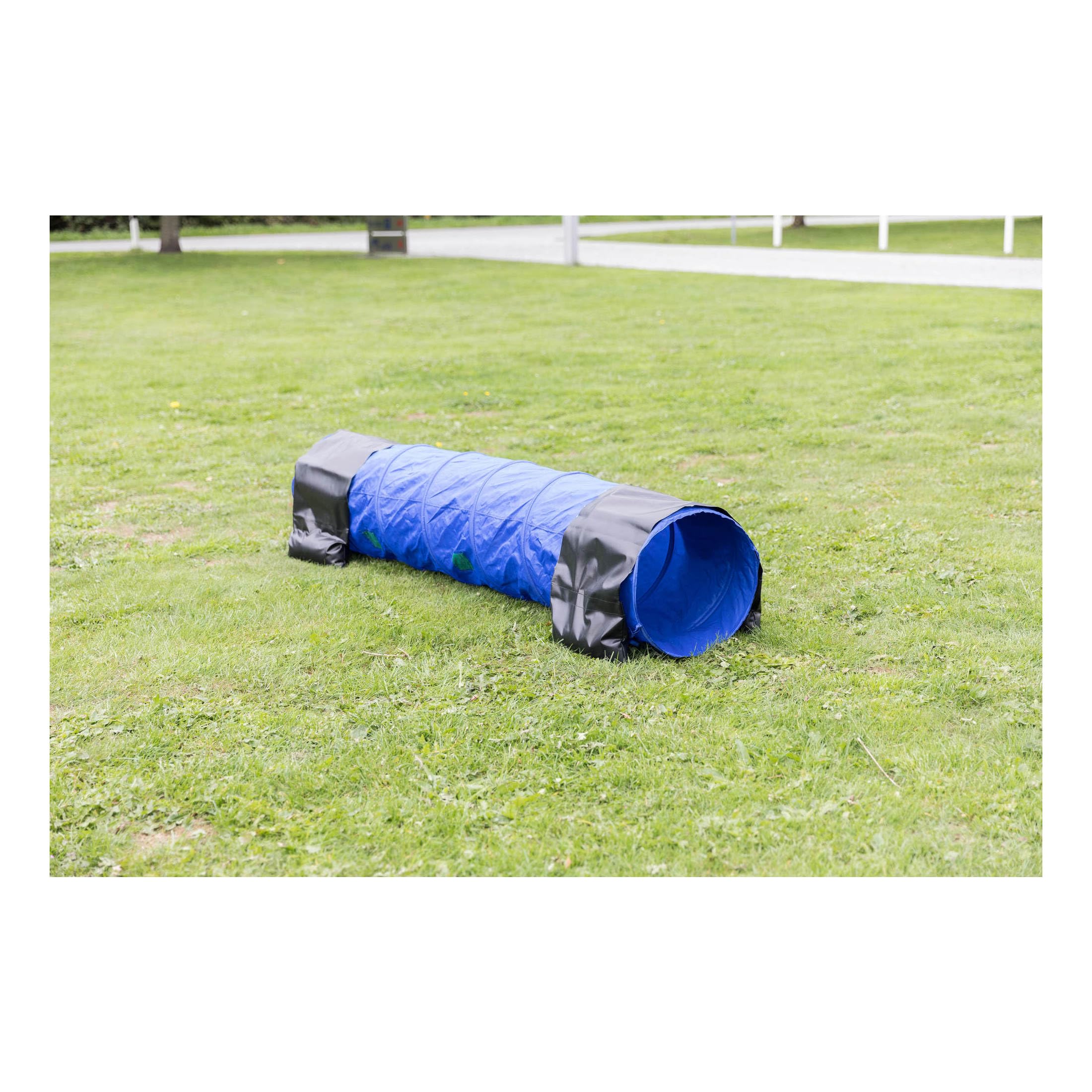 TRIXIE Dog Agility Tunnel - Large Pet Training Equipment for Indoor/Outdoor Use, 16.4ft Long & 23.6in Diameter Portable Dog Tunnel for Beginners & Advanced Agility Courses - Perfect for Backyard Training, Competitions & Fun Exercise