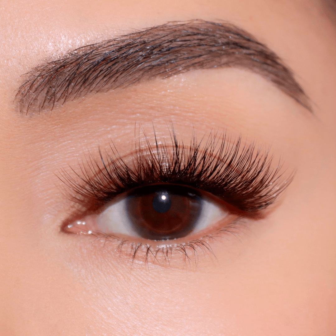 Professional Curated Eyelash Extension Kit - Natural & Dramatic Looks for Every Occasion | Perfect for Bridal, Party & Everyday Wear