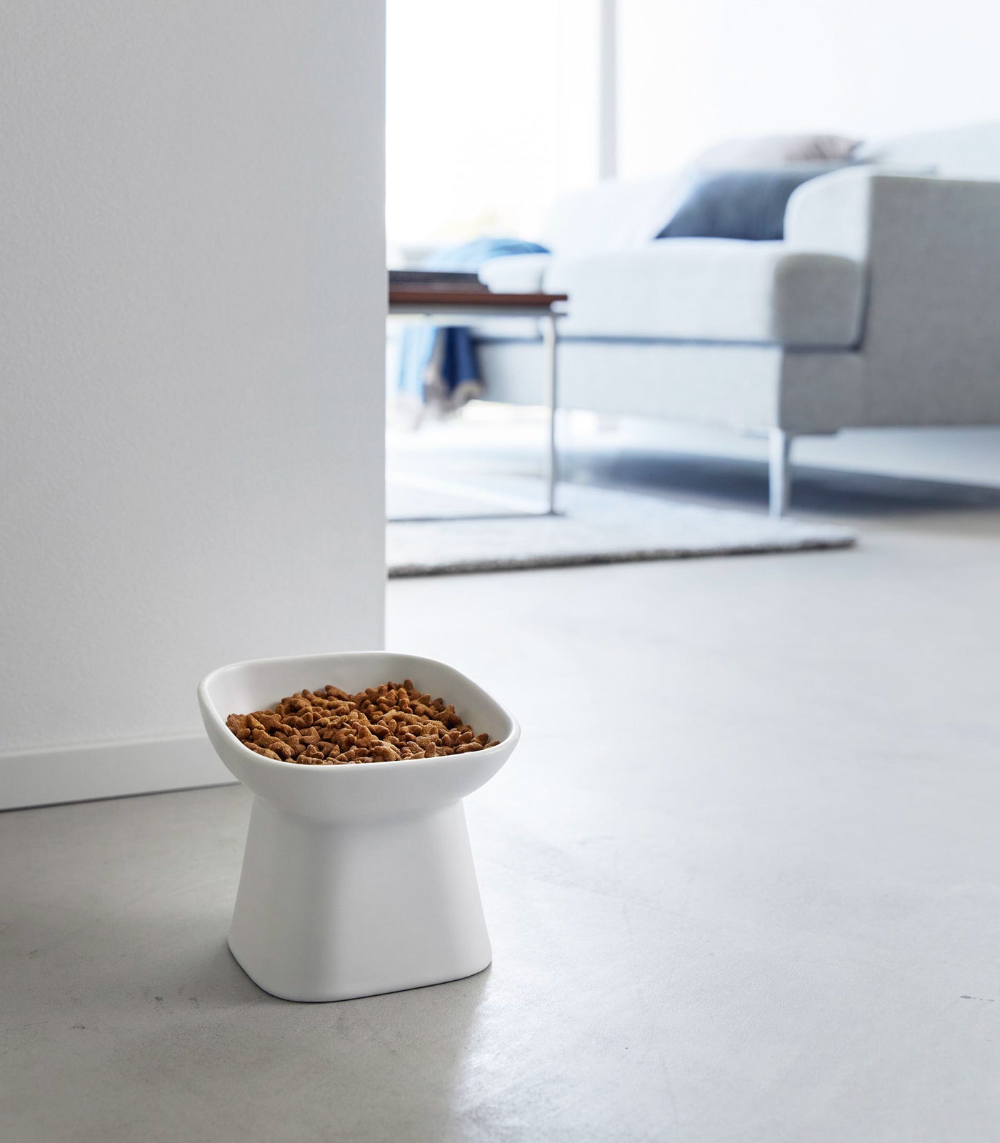 Stainless Steel Tilted Pet Food Bowl for Dogs & Cats - Non-Slip Elevated Design for Better Digestion - Perfect for Small, Medium & Large Breeds - Indoor & Outdoor Use