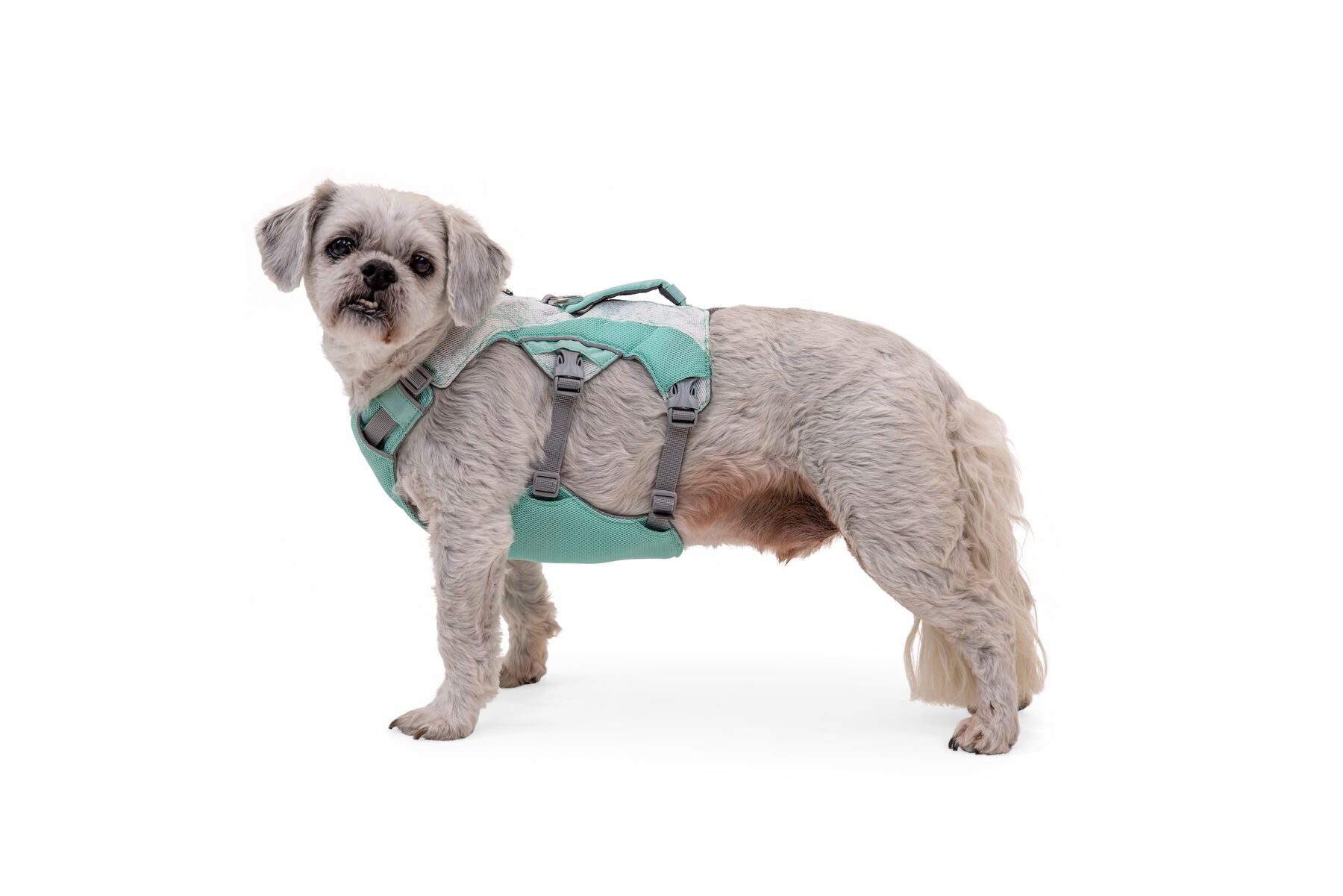 Ruffwear Swamp Cooler® Dog Cooling Vest in Sage Green - Breathable & Lightweight for Hot Weather, Hiking & Outdoor Adventures