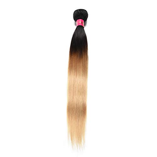 Ombre Blonde(1b/27#)
