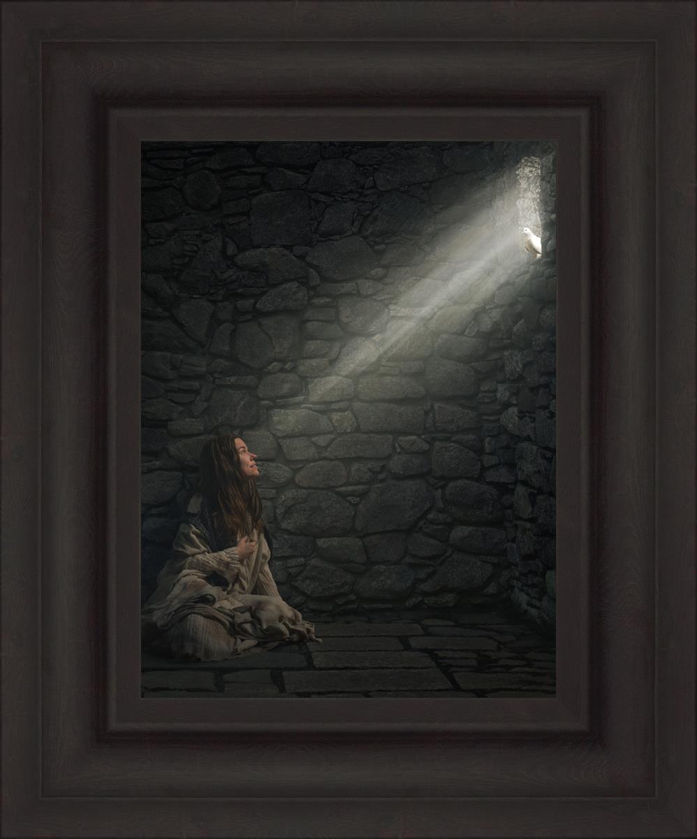 A Captive's Hope - Inspirational Novel for Overcoming Adversity | Perfect for Book Clubs, Personal Growth & Motivational Reading