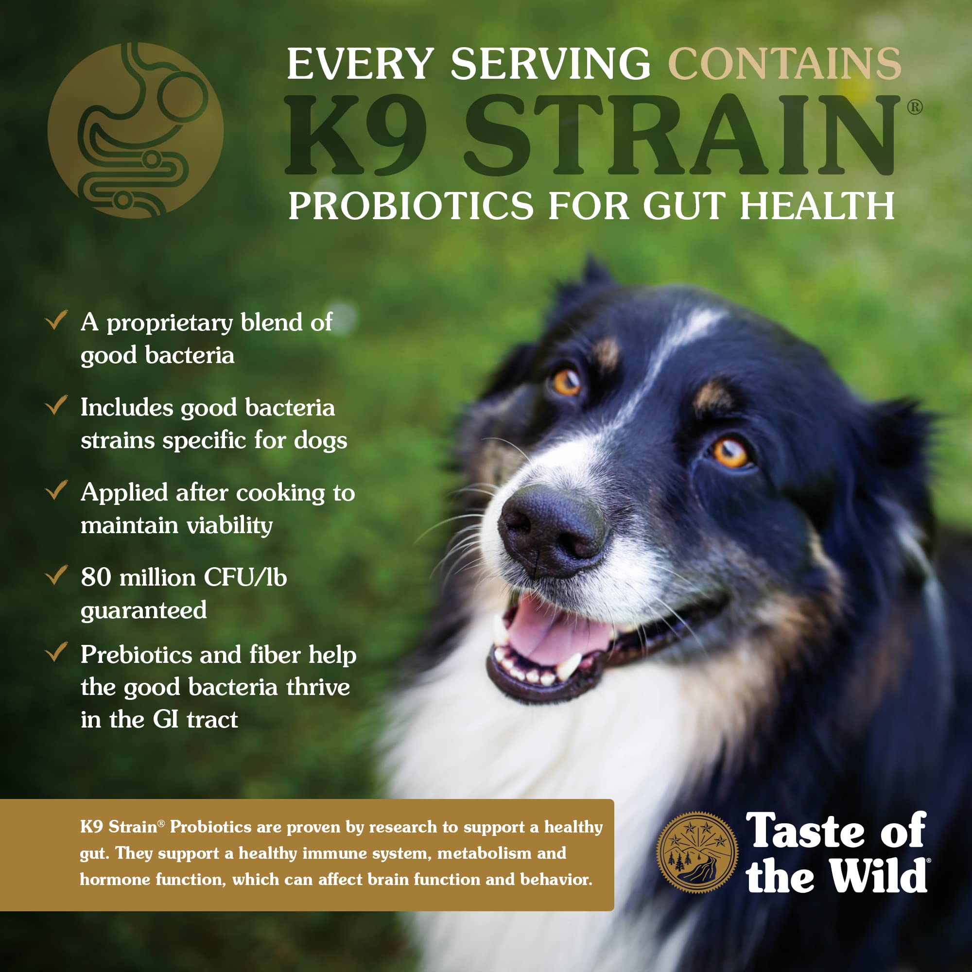Taste of the Wild Ancient Grains High Protein Dry Dog Food - Roasted Bison & Venison Recipe with Probiotics, 28lb Bag | Premium Nutrition for Active Dogs, Perfect for Outdoor Adventures & Daily Feeding
