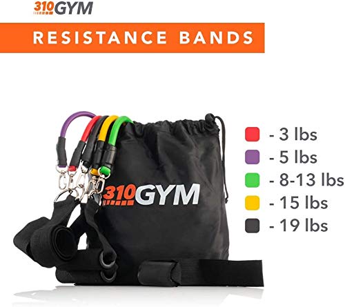 310 Nutrition Resistance Band Set with Handles & Carrying Bag - Premium Fitness Bands for Full-Body Workout - Strengthen Legs, Arms, Chest & Shoulders - Perfect for Home Gym, Physical Therapy & Outdoor Training