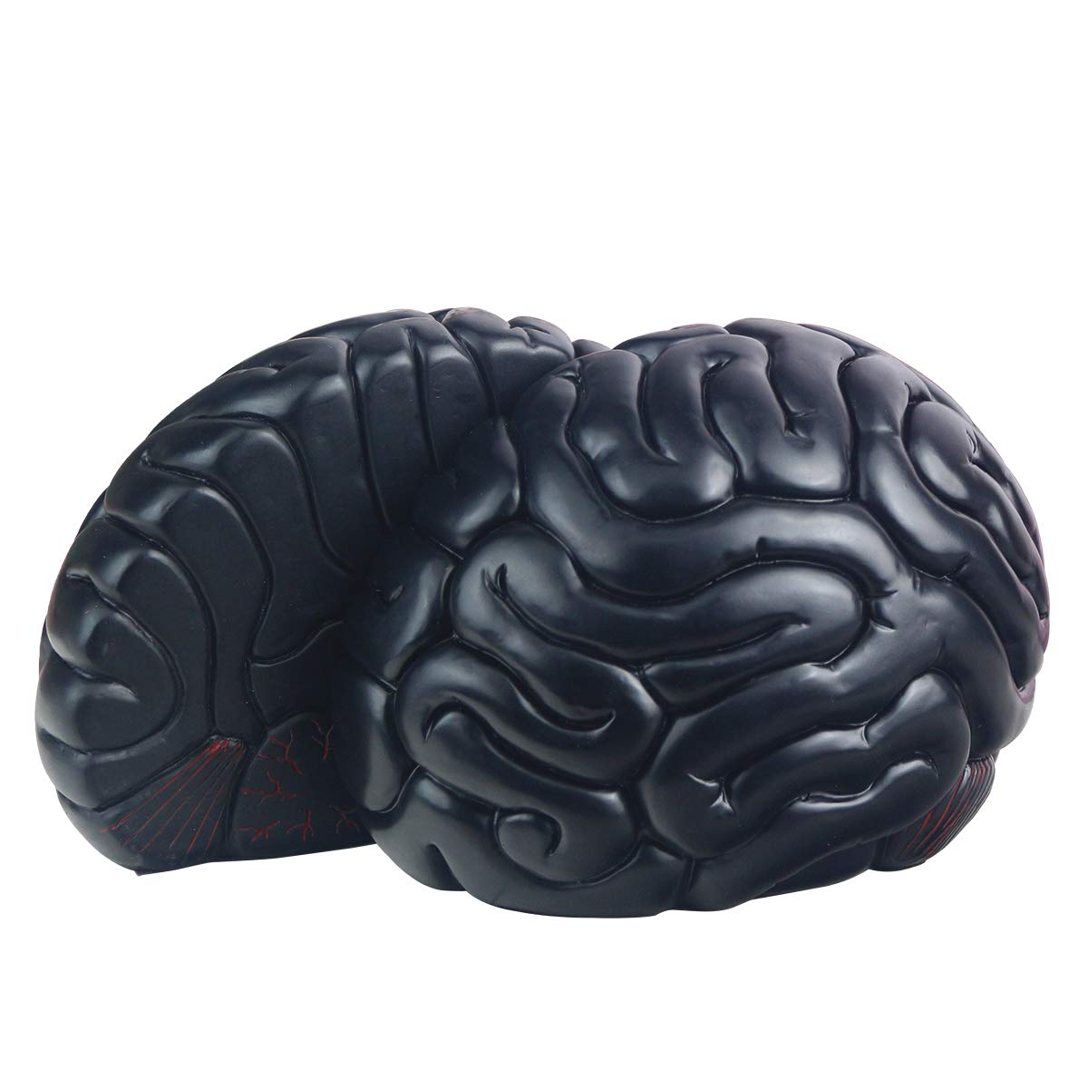 Decorative Brain Bookends - Heavy Duty Black Book Supports for Office, Home, Desk & Bookshelf - Unique Bookend Decor (6