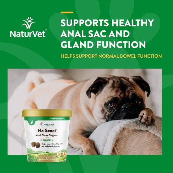 NaturVet No Scoot Plus Pumpkin Soft Chews for Dogs - Digestive Support & Anal Gland Relief - Perfect for Small & Large Breeds at Home or Travel