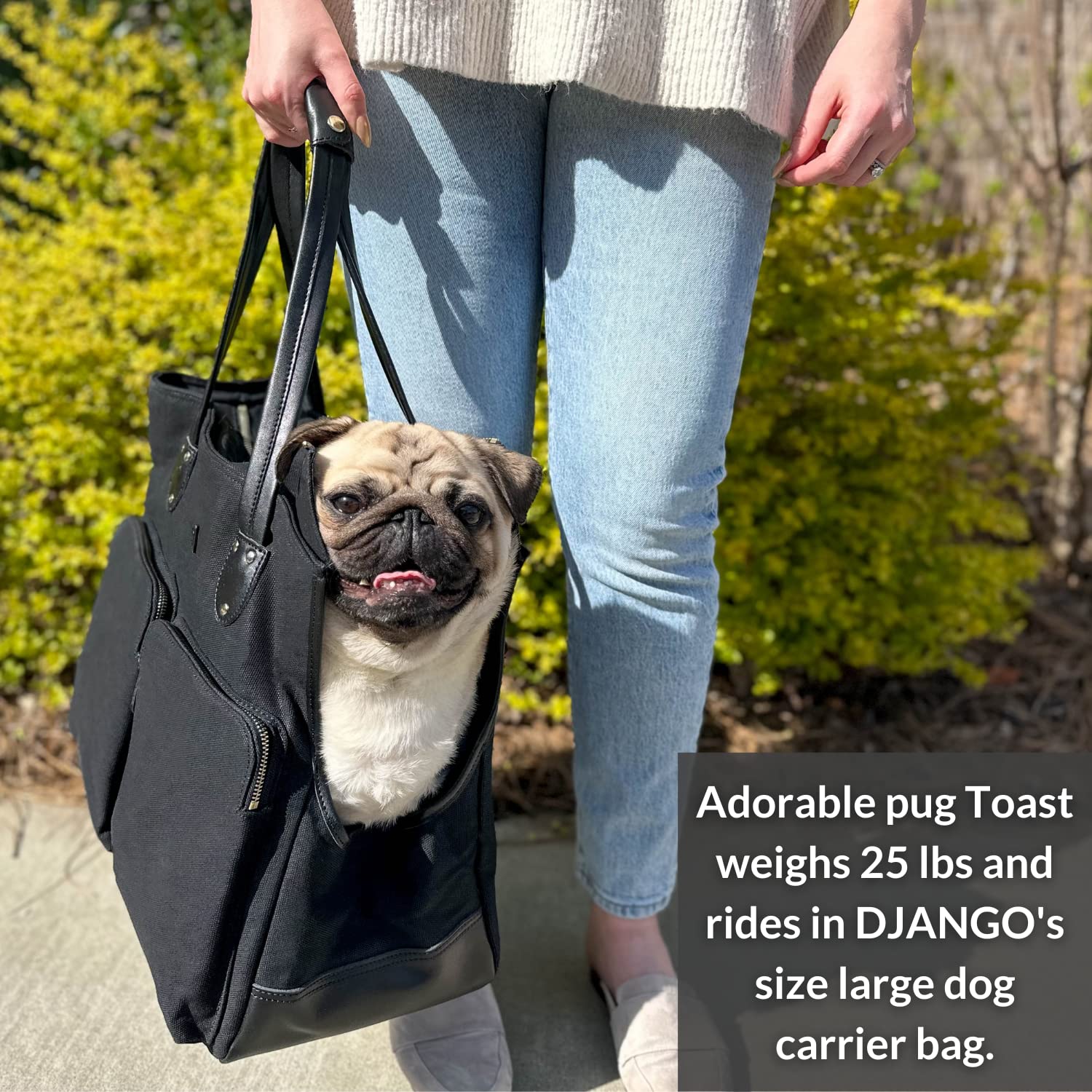 Premium Waxed Canvas & Leather Dog Carrier Bag - Medium Pet Travel Tote with Safety Harness Tether, Secure Zipper Pockets & Water-Resistant Lining - Ideal for Air Travel, Hiking & Daily Commutes with Small Dogs