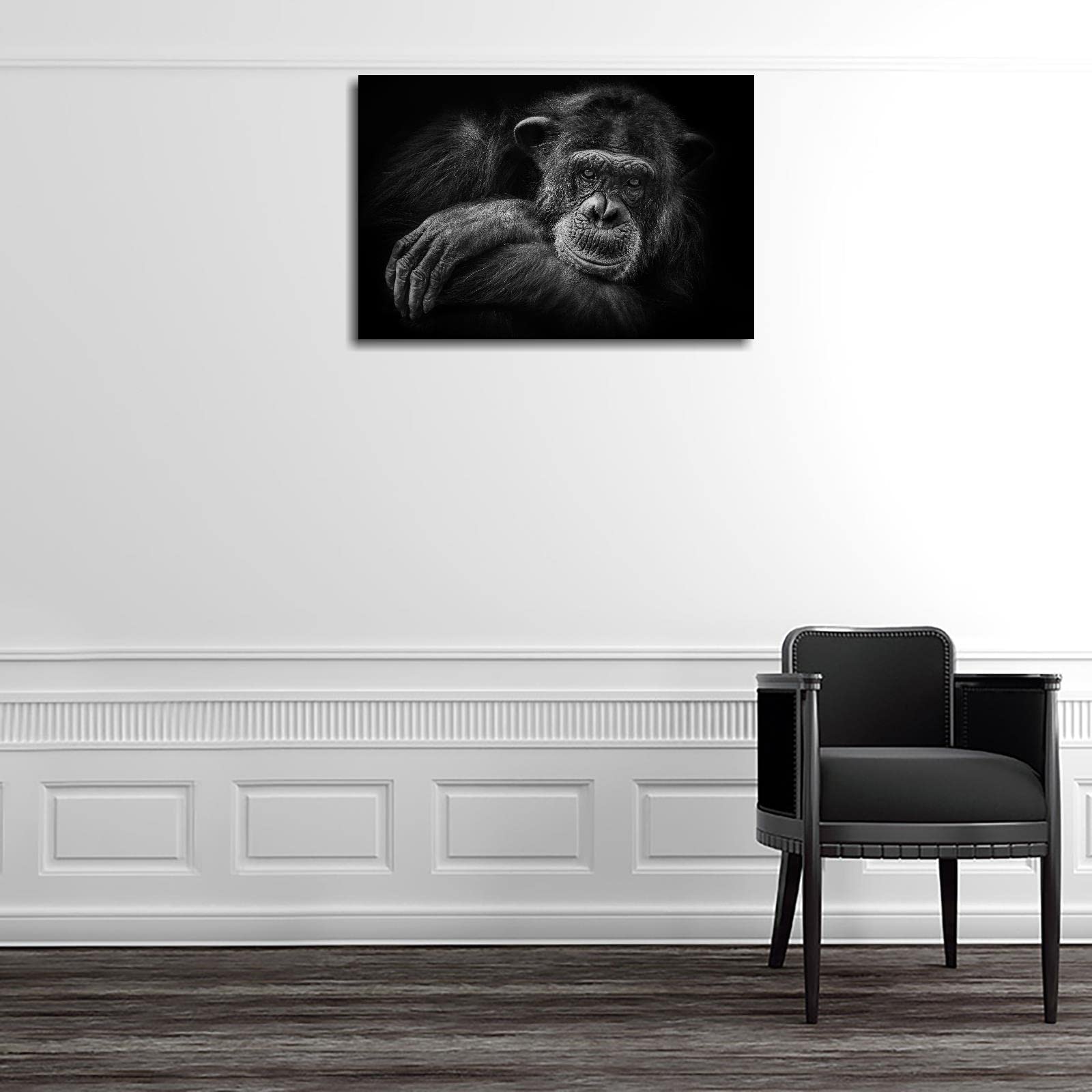 Premium Chimpanzee Canvas Wall Art - 18