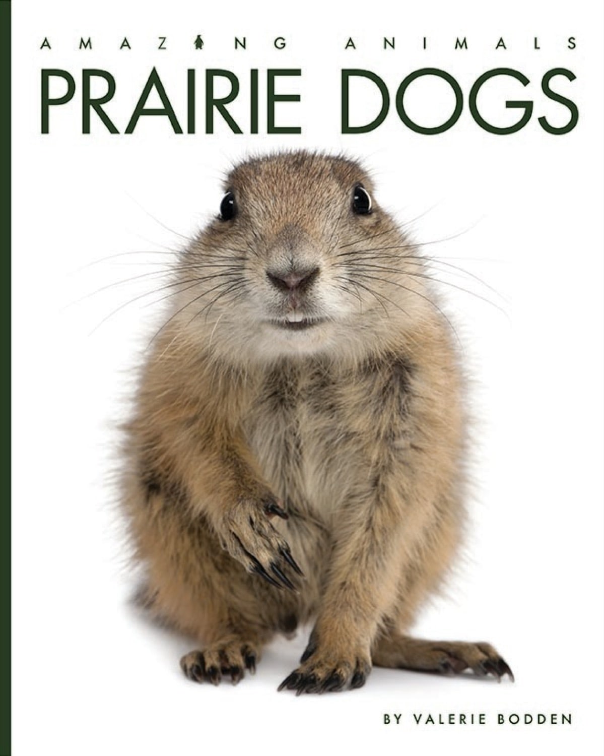 Amazing Animals (2014) - Prairie Dogs Documentary | Wildlife Nature Film | Educational Animal Videos for Kids & Adults | Perfect for Classroom Learning & Family Movie Nights