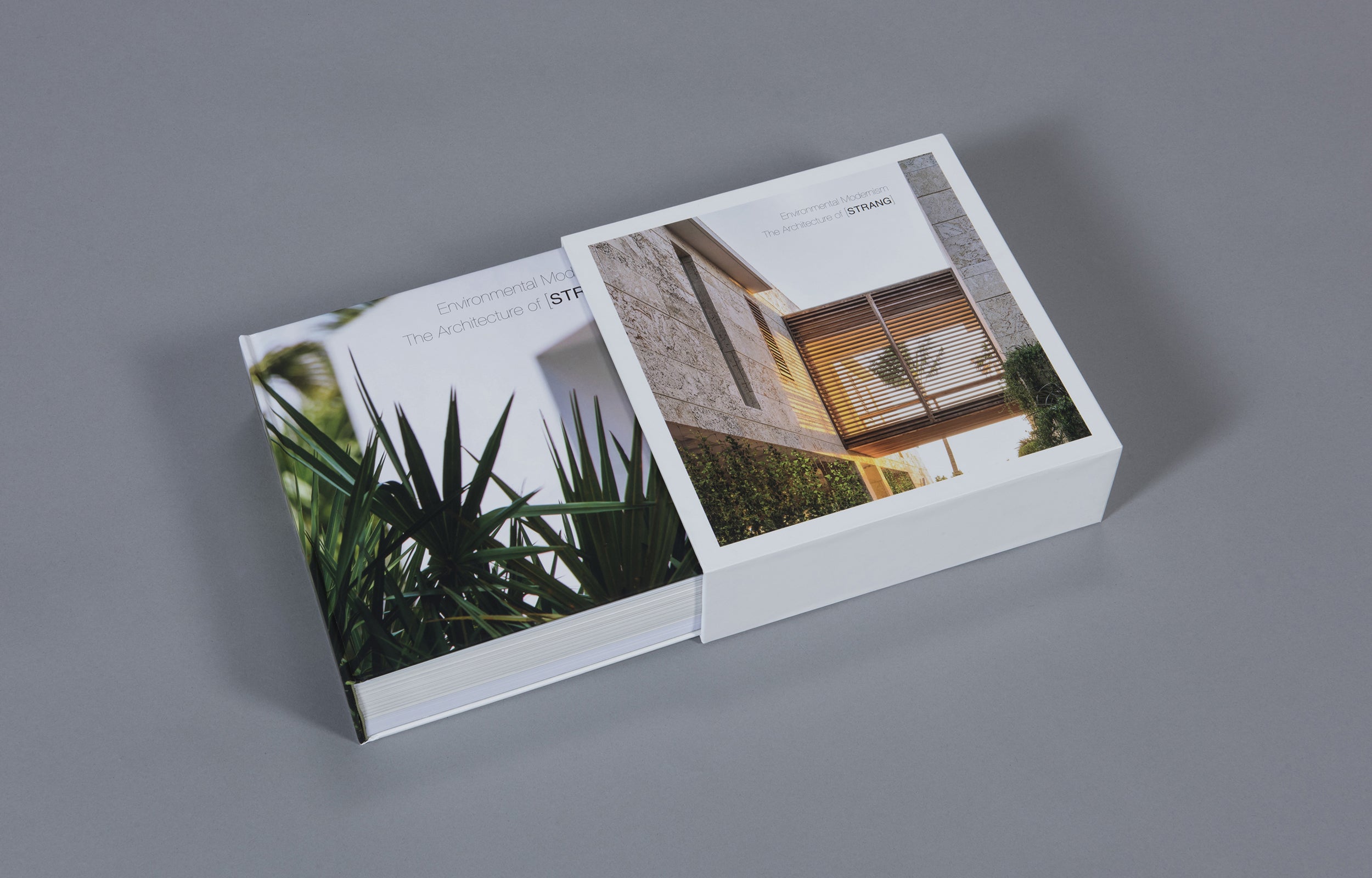 Environmental Modernism: The Architecture of STRANG - Sustainable Design for Eco-Friendly Homes & Offices