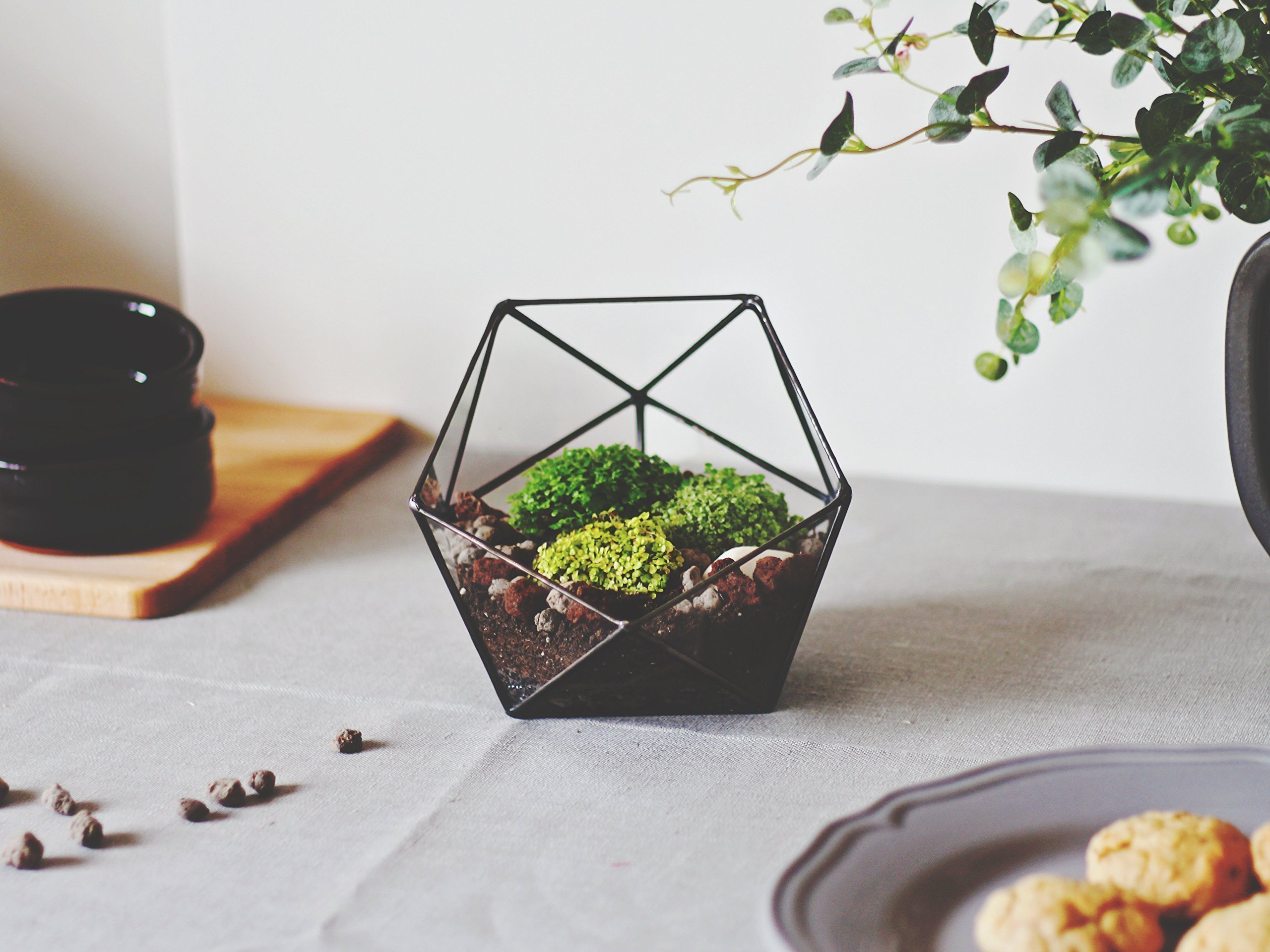 Clear Glass Geometric Terrarium Container - Modern Icosahedron Planter for Succulents & Air Plants | Home & Living Room Decor | Wedding Table Centerpiece & Reception Decor (Copper, Silver, Black) | Perfect for Indoor Plant Display, Office Desk Decor, and Gift Giving
