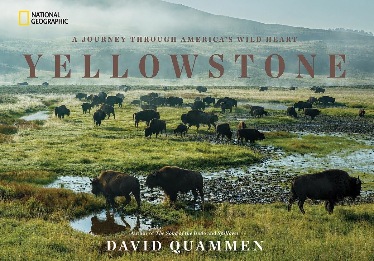 Yellowstone National Park Travel Guide: Explore America's Wild Heart - Perfect for Road Trips, Hiking Adventures & Nature Photography