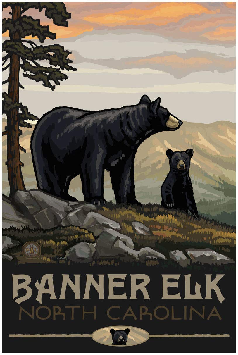 Paul A. Lanquist Black Bear Family Giclee Art Print - Premium 30