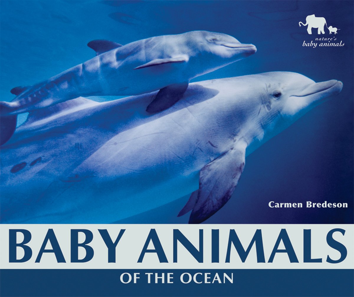 Baby Animals of the Ocean - Adorable Marine Wildlife for Kids | Nature's Baby Animals Book | Perfect for Bedtime Stories & Early Learning