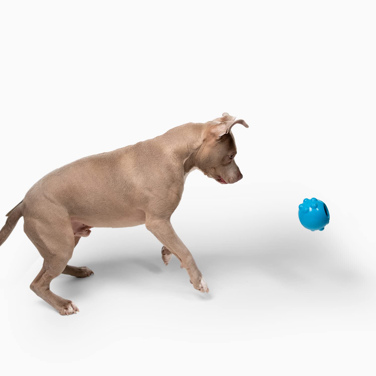 Jolly Dipper Treat Dispensing Dog Toy - Interactive Puzzle Feeder for Small & Medium Dogs - Fun Training Reward Toy for Indoor & Outdoor Play