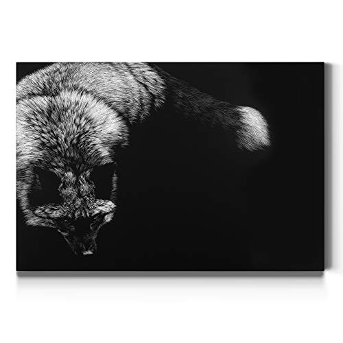 Wild Scratchboard (3)