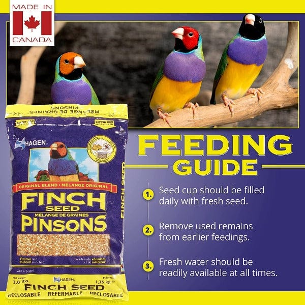 Hagen Finch Staple VME Seed - Premium Quality Seeds for Home Gardening, Planting & Landscaping | Ideal for DIY Garden Projects, Backyard Planting & Urban Farming
