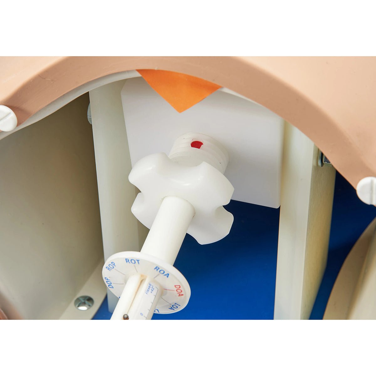 Debra Enhanced® Impacted Fetal Head Simulator - Realistic Birth Training Model for Obstetric Emergencies | Perfect for Medical Students, Midwives & OBGYN Practitioners