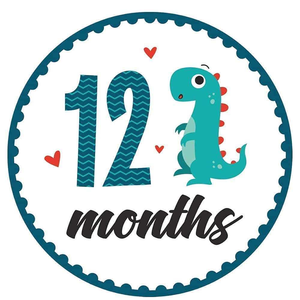 HarperLynn Baby Closet Dividers Set of 8 & Monthly Milestone Onesie Stickers (16pcs) - Nursery Organization & Newborn Photo Props for Baby Shower Gifts