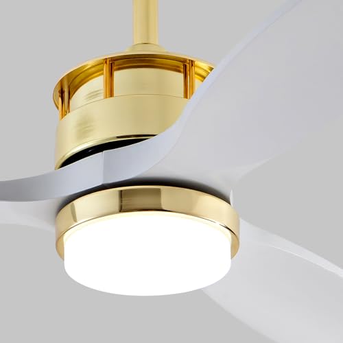 White+Gold