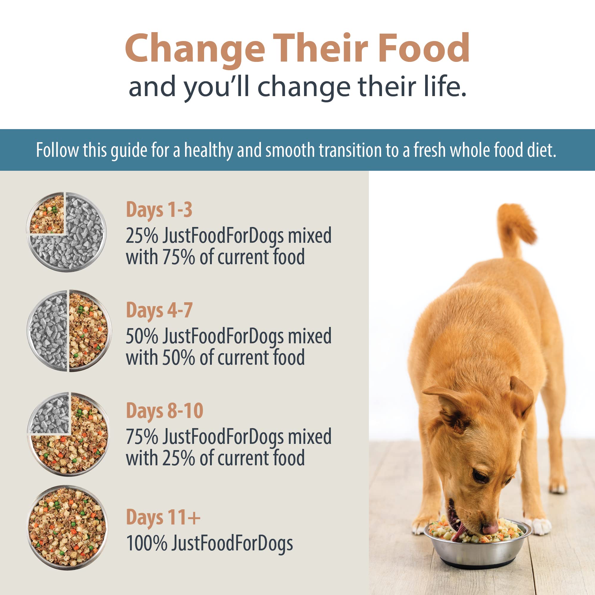 JustFoodForDogs Pantry Fresh Wet Dog Food - Human-Grade Beef & Russet Potato Recipe, Complete Meal or Food Topper for Dogs, 12.5 oz (Pack of 6) - Perfect for Picky Eaters & Senior Dogs with Sensitive Stomachs