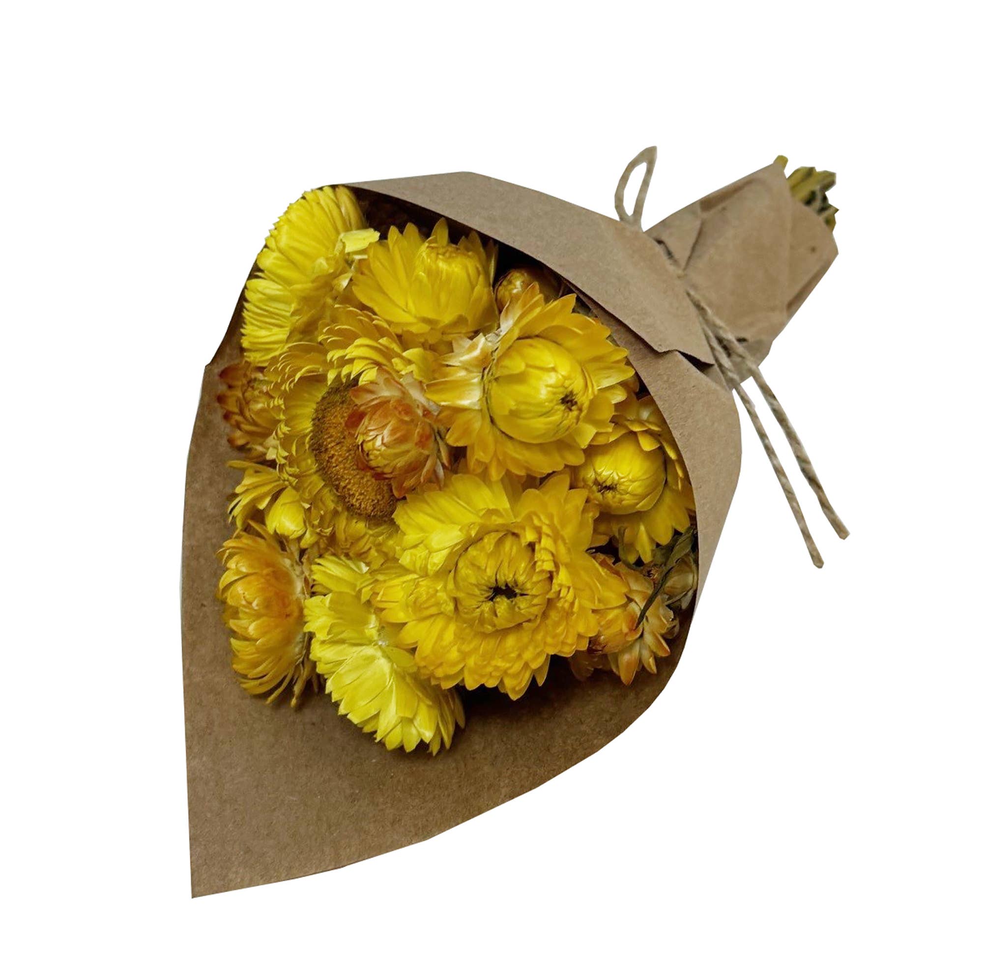 Andaluca MINI Strawflower Bundle - Yellow Dried Flowers for Home Decor, Wedding Bouquets, DIY Crafts & Gift Wrapping | Natural Floral Arrangement Supplies