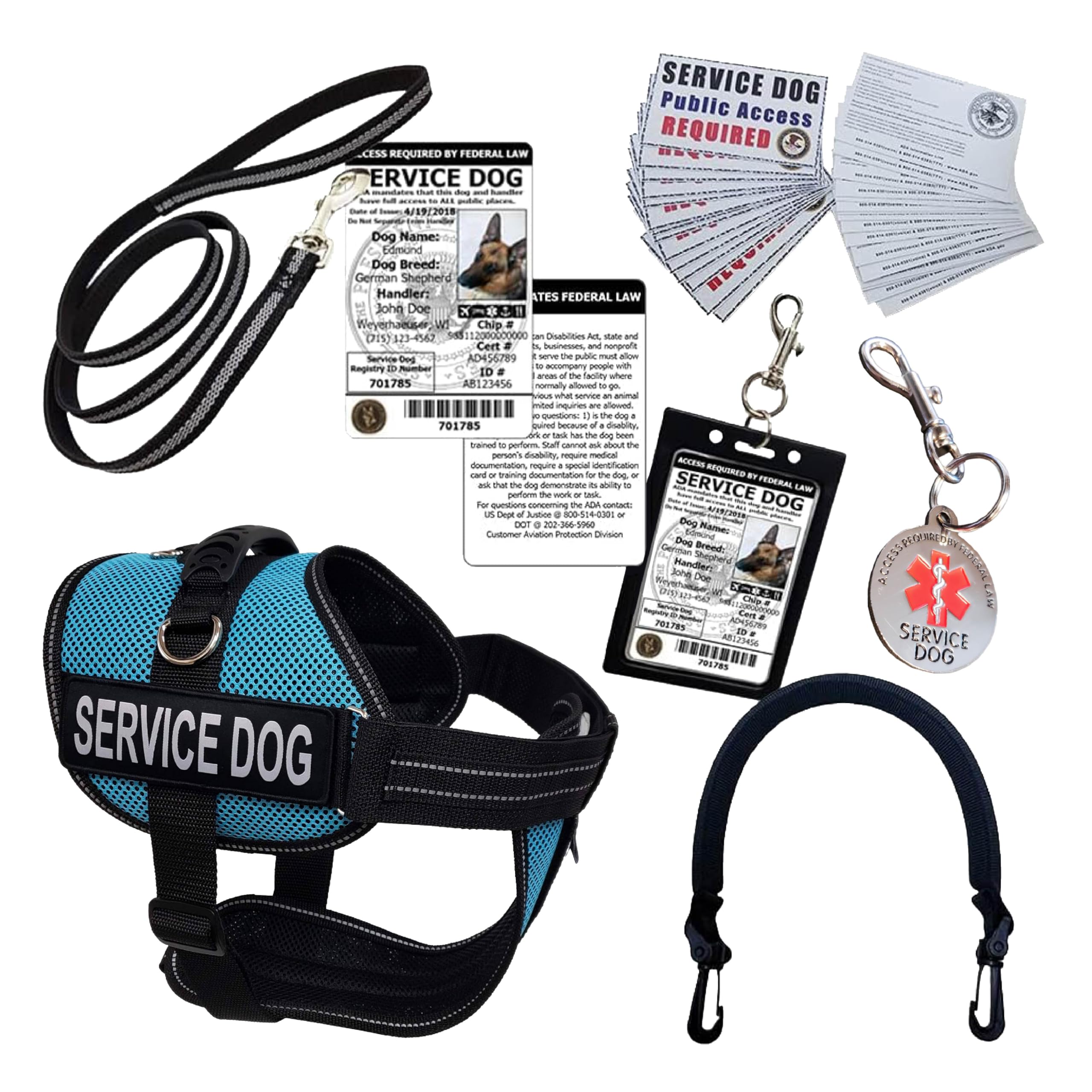 ActiveDogs Full Service Dog Kit - Large Aqua - Service Dog Vest Harness with Handle, ID Badge, ADA Compliance Cards, Medical Alert Keychain, Adjustable Leash & Custom Patches | Perfect for Therapy Dogs, Emotional Support Animals & Public Access Training