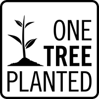 Best Trees to Plant for Your Garden - Fast Growing Shade Trees & Flowering Trees for Landscaping | Perfect for Backyards, Parks & Eco-Friendly Landscaping